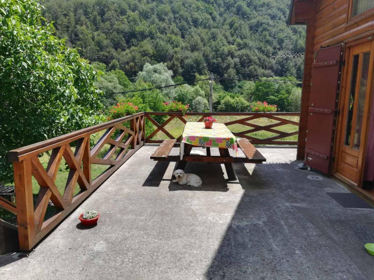 Vila Jelena Crni Vrh Kültér fotó