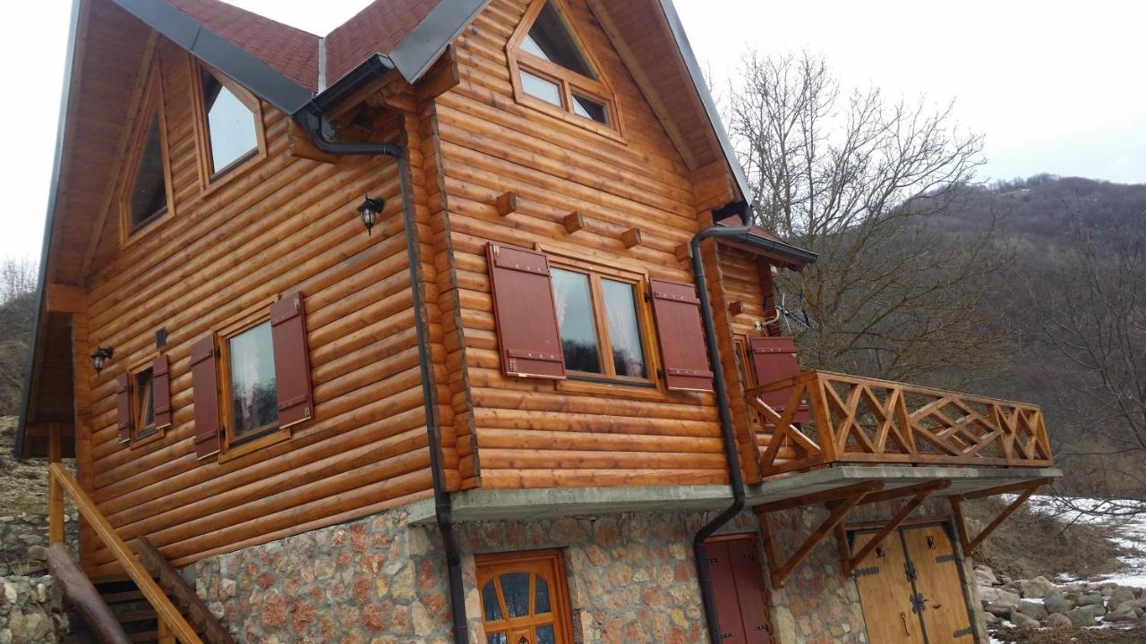 Vila Jelena Crni Vrh Kültér fotó