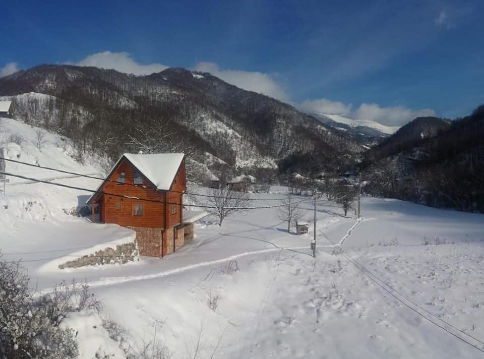 Vila Jelena Crni Vrh Kültér fotó
